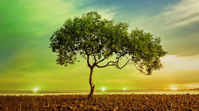 A Perfect Planet season 2 release date