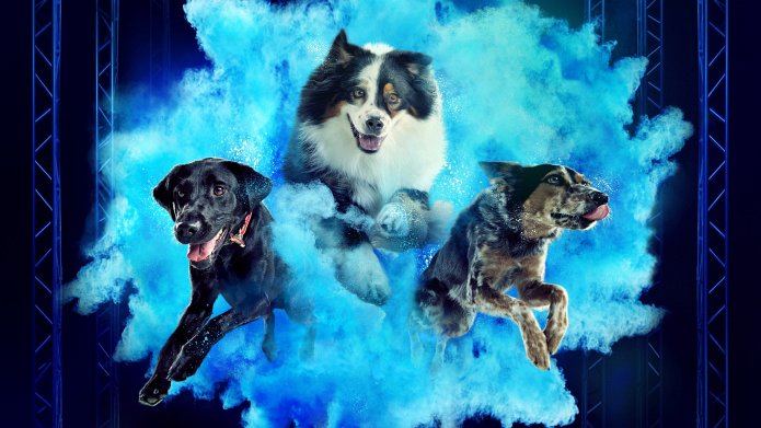 America's Top Dog season 4 release date