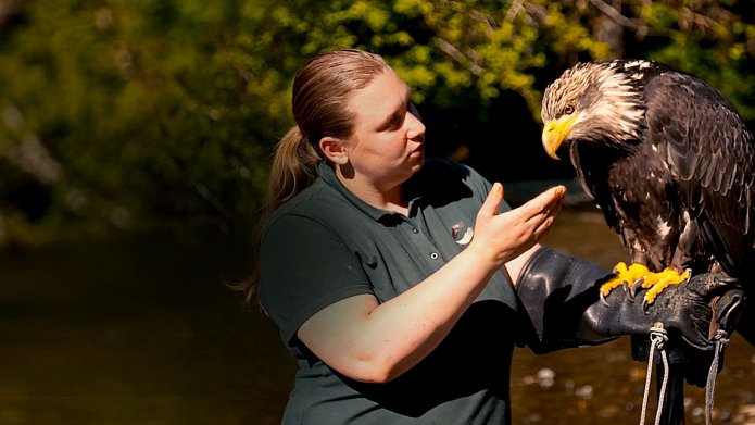 Alaska Animal Rescue season 3 release date