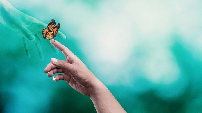 Surviving Death season 2 release date