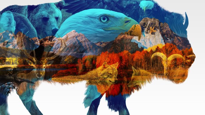 America the Beautiful season 3 release date