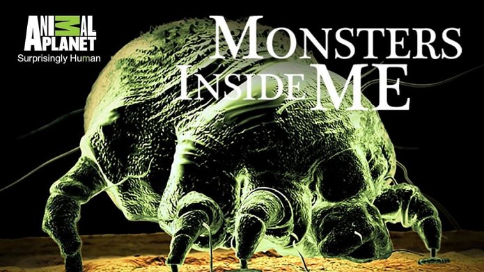 Monsters Inside Me season 9 release date