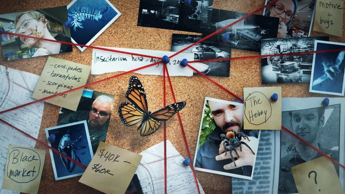 Bug Out season 2 release date