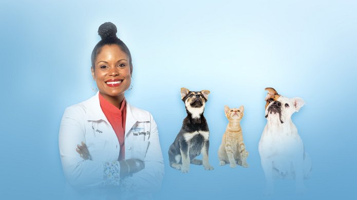 Pop Goes the Vet with Dr. Joya season 2 release date
