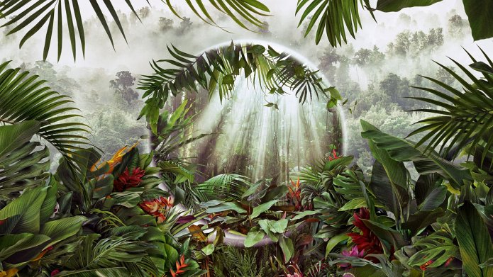 The Green Planet season 2 release date