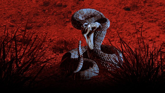 Something Bit Me season 2 release date