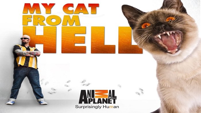 My Cat from Hell season 11 premiere date