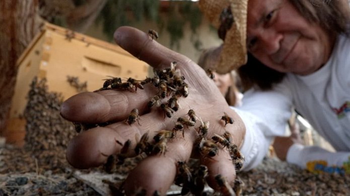 Killer Bee Catcher season 2 release date