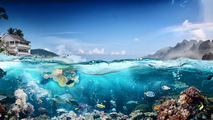 Hawaii Life season 15 release date