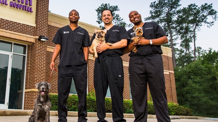 The Vet Life season 7 release date