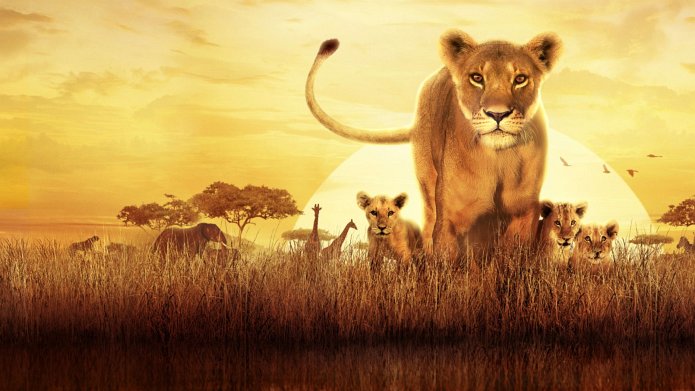 Serengeti season 4 release date